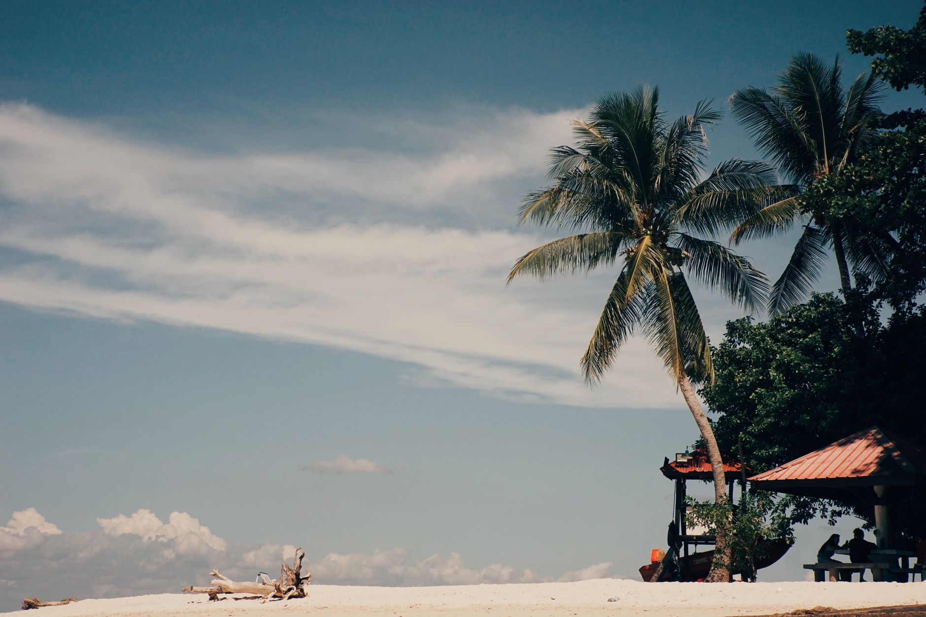 tropical island beach wifi signal travel