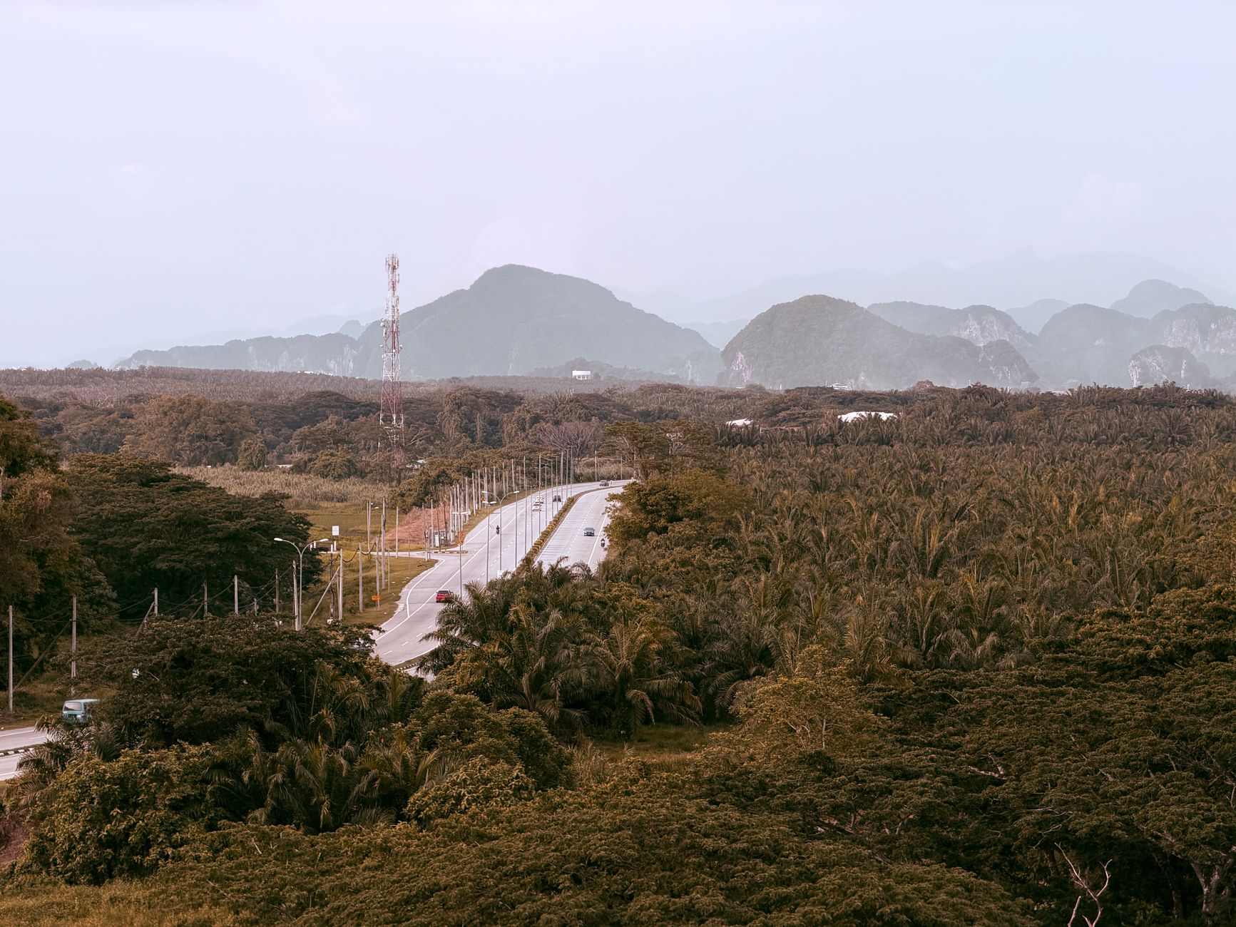 malaysia countryside road palm trees